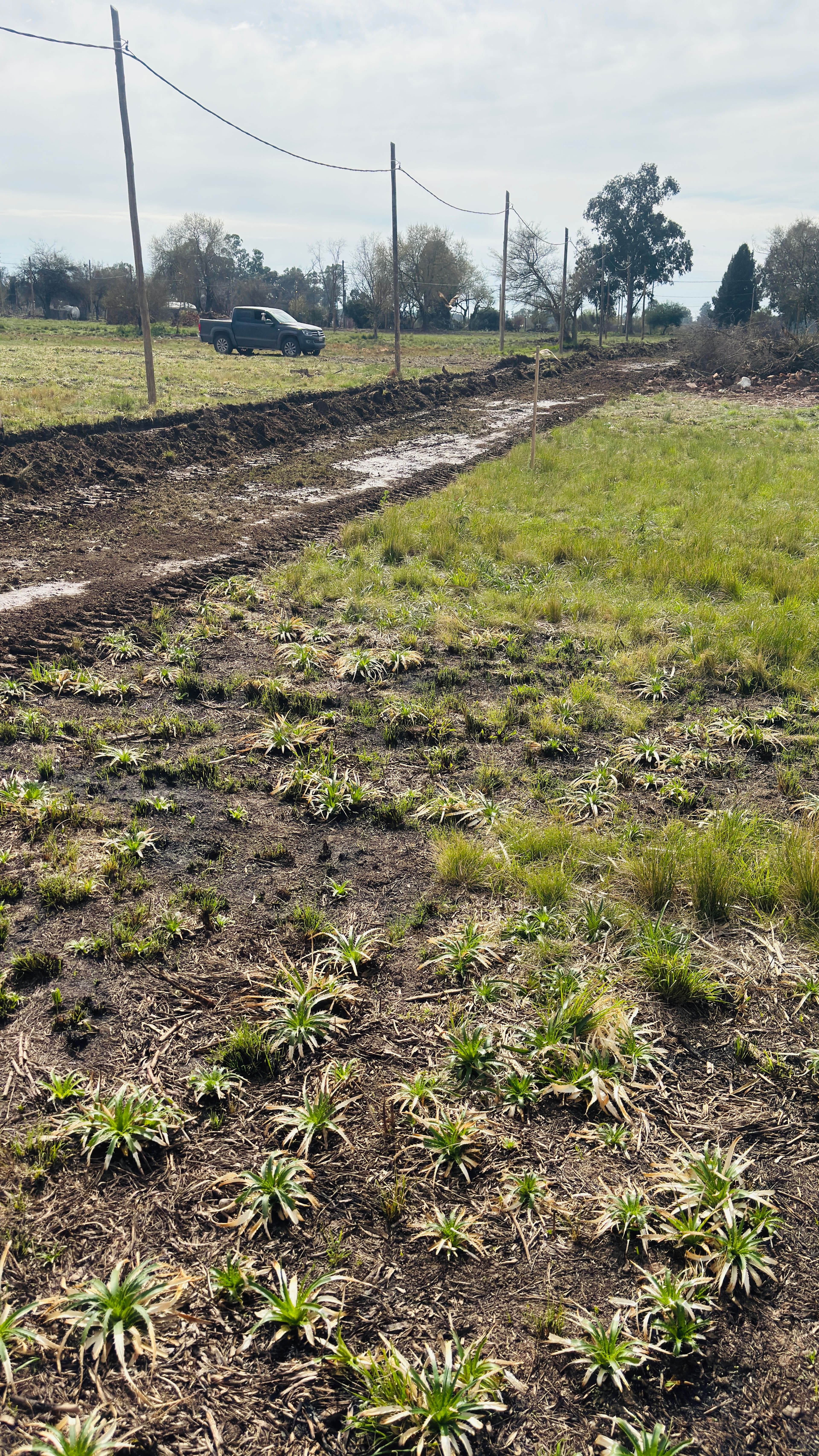 Terrenos con escritura en ministros Rivadavia